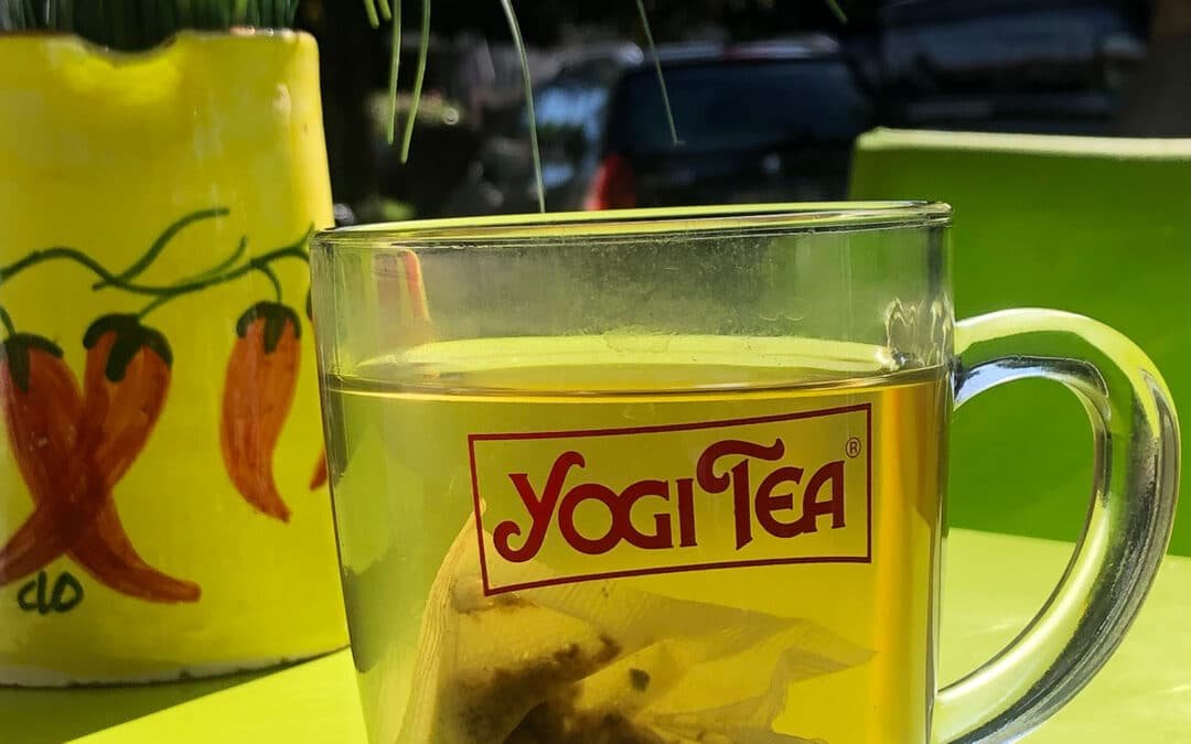 The Surprising Benefits of Herbal Teas: Nature’s Remedy in a Cup